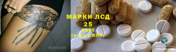 сатива Алзамай