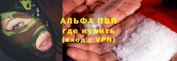 сатива Алзамай