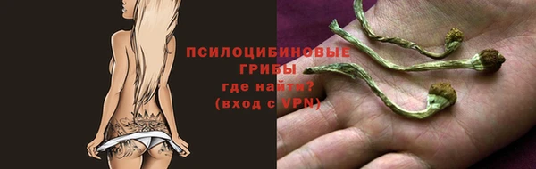 сатива Алзамай