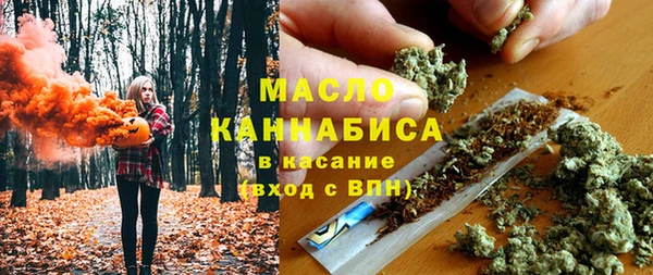сатива Алзамай