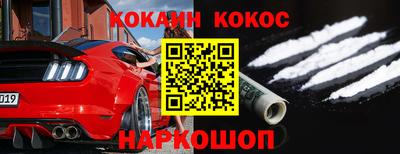 крисы Будённовск