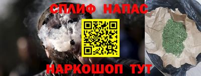 крисы Будённовск